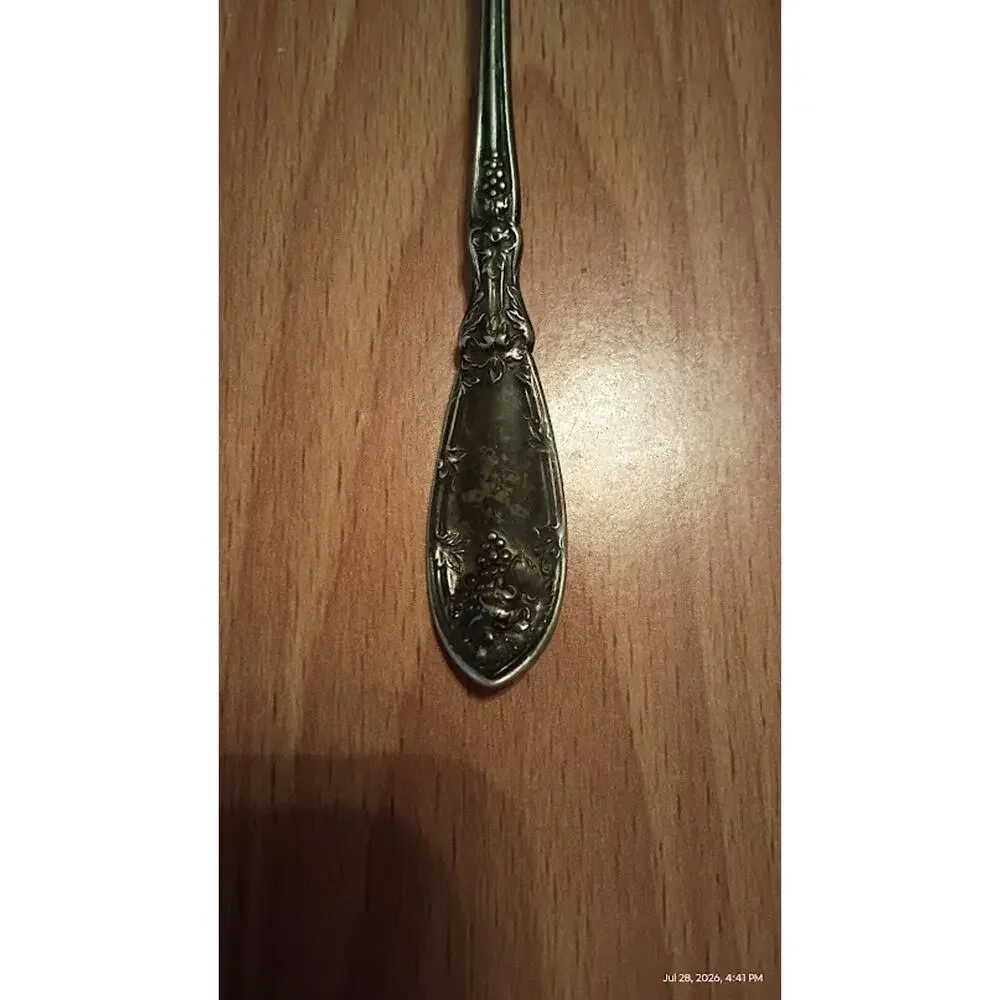 ANTIQUE 1847 ROGERS BROS VINTAGE GRAPE TEA STRAINER